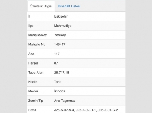 MAHMUDİYE YENİKÖYDE SATILIK TARLA